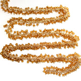 citrine birthstone month November, zodiac sign Leo.