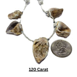 Natural cowrie shell necklace pendant