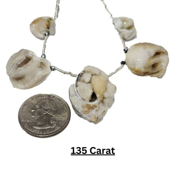 Cowrie shells for jewelry making