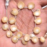 White Coral birthstone month April Zodiac Sign Scorpion.