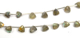 Labradorite Pyramid/Samosa Strand