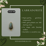 Labradorite Tie Pendant - Boho Chic Gemstone Necklace with 24kt Gold Elegance