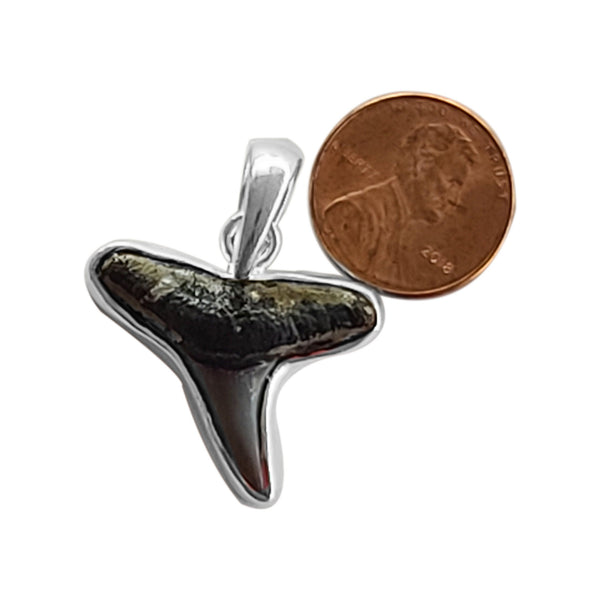 Shark tooth handmade gemstone pendants.