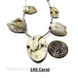 Cowrie shells, Jewelry making supplies, Necklace pendants, Bracelet charms, Anklet accessories, Cowrie shell jewelry, Shell beads, Handmade jewelry components, Natural shell accents, Beach-inspired jewelry