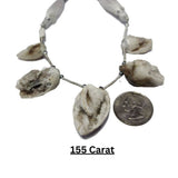 Natural cowrie shell necklace pendant
