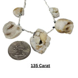 Cowrie shells for jewelry making