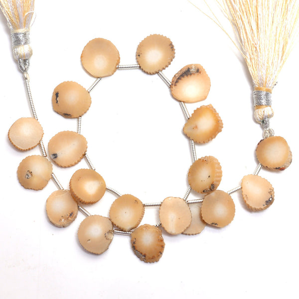 White Coral natural gemstone bead strands, slice-shaped 4-inch long bead strand, smooth bead size 8mm, 9.5mm, 9mm, 10.5mm, 11mm, 12mm, handmade gemstone bead strand 19, 22, Carat, women jewelry making necklaces, earrings, and bracelets bead strands.