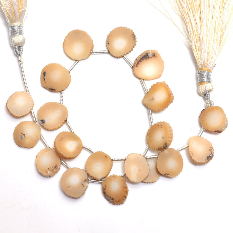 White Coral natural gemstone bead strands, slice-shaped 4-inch long bead strand, smooth bead size 8mm, 9.5mm, 9mm, 10.5mm, 11mm, 12mm, handmade gemstone bead strand 19, 22, Carat, women jewelry making necklaces, earrings, and bracelets bead strands.
