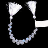 Faceted Rainbow Moonstone Onion Beads | 4-Inch Strand, June Birthstone