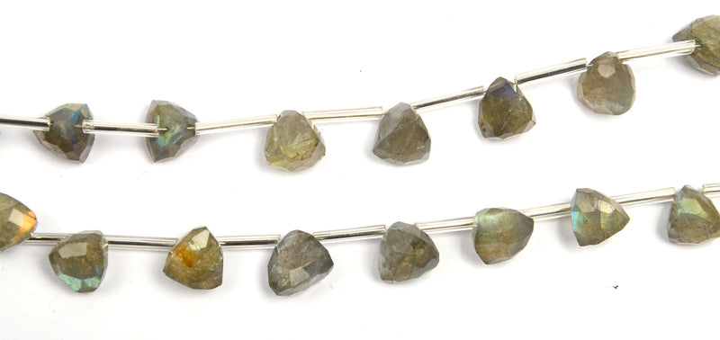 Labradorite Pyramid/Samosa Strand