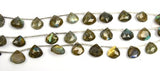 Faceted Labradorite Beads - DIY Beading Supplies