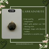 Labradorite Hexagon Pendant - Boho Chic Gemstone Necklace with 24kt Gold Elegance
