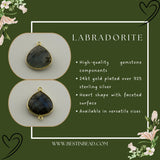Labradorite Heart Pendant - Boho Chic Gemstone Necklace with 24kt Gold Elegance